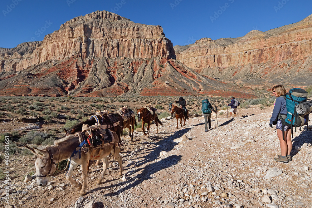 Ταπετσαρία Hikers watch empty mule train, Havasupai Indian Reservation, Arizona, USA