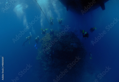 Many scuba divers on coral head.