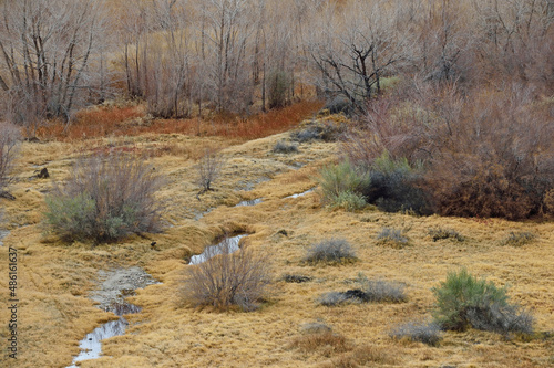 Mojave River area, Afton Canyon, California, USA © Joseph