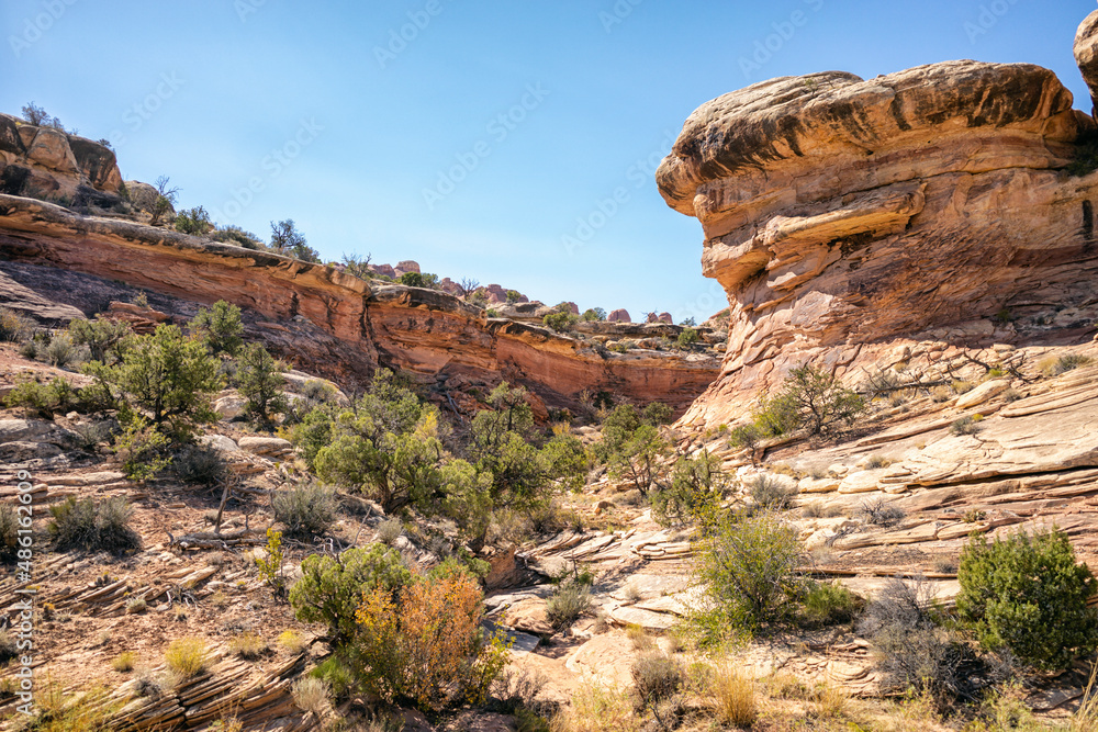 Sandstone landscape in Canyonlands National Park, Utah
