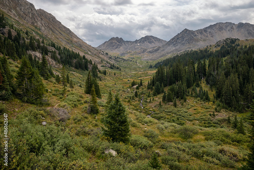 Lush forested basin in the Hunter-Fryingpan Wilderness photo