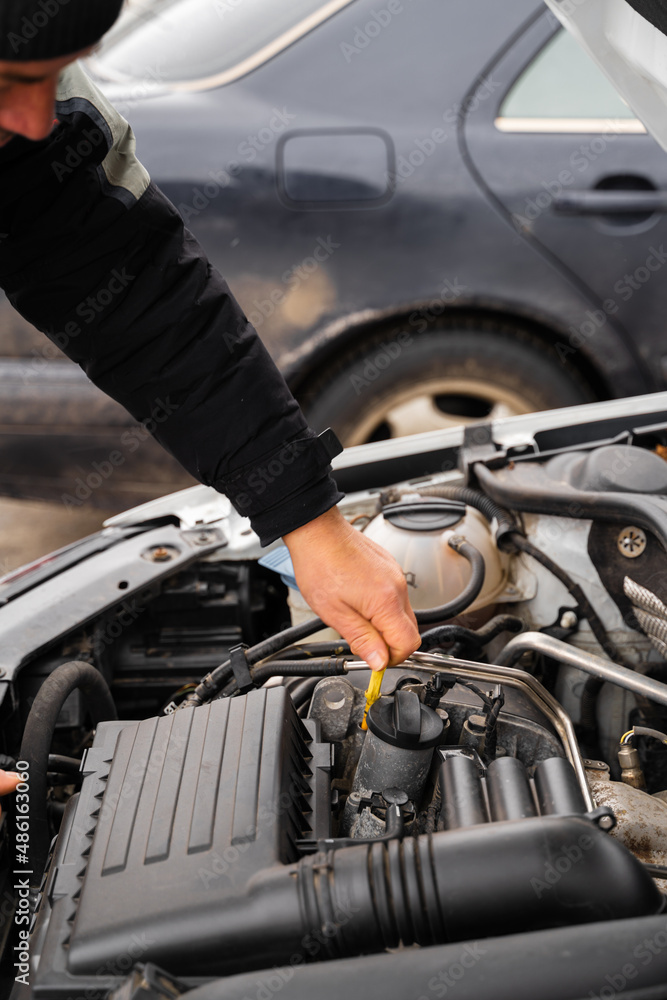 custom made wallpaper toronto digitalClose up view of the senior man inspecting car oil level while standing in front of the opened hood and looking inside. Stock photo