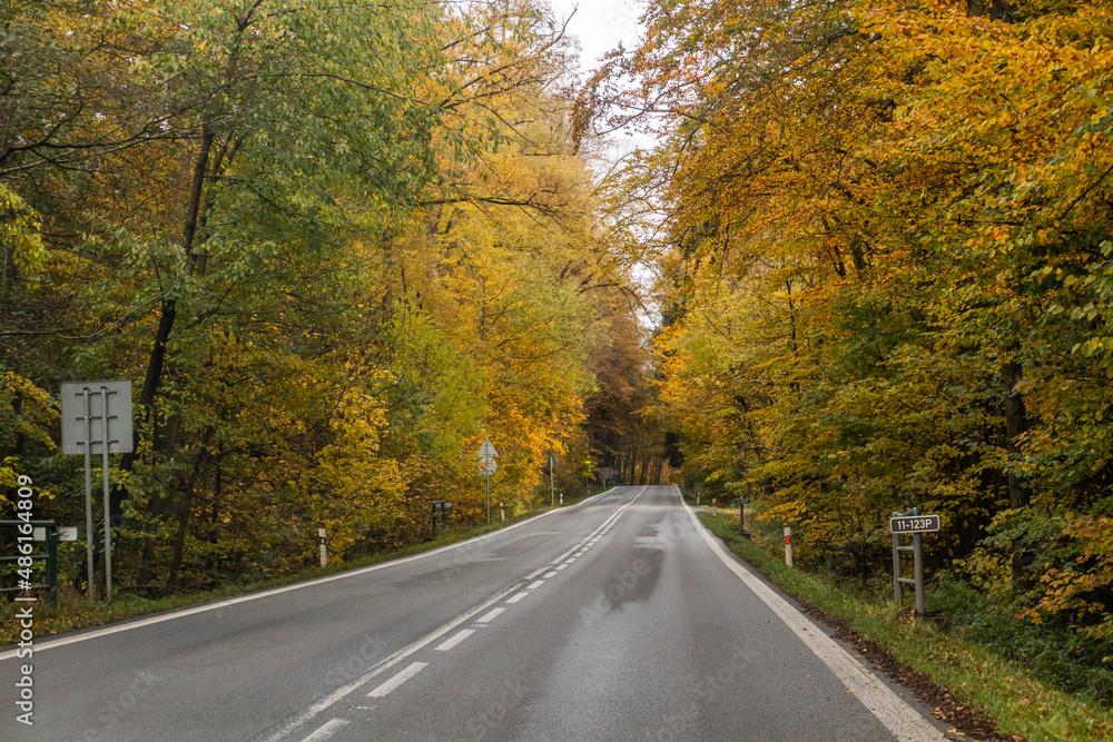 Autumn view of I11 road, Czech Republic Autumn view of I11 road, Czech Republic