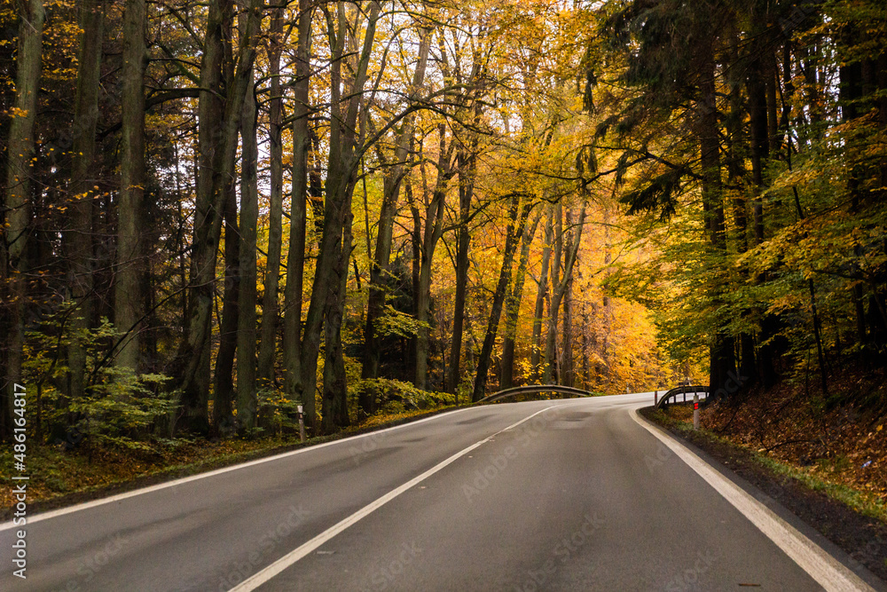 Autumn view of I11 road, Czech Republic Autumn view of I11 road, Czech Republic