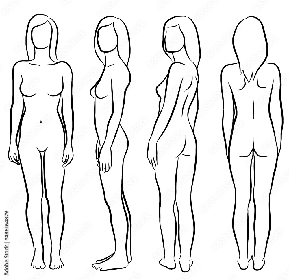 Illustration of the female figure with contoured front, side, semi back, and back view, simple lines. Vector art. Illustration of the female figure with contoured front, side, semi back, and back view, simple lines. Vector art.