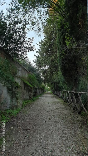 Greyscale shot of a stone narrow path