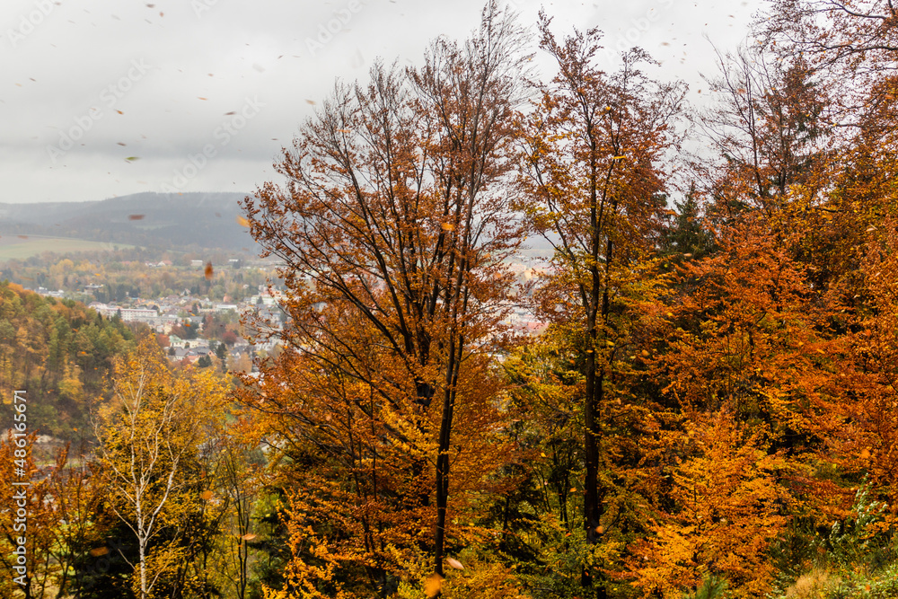 Fototapeta premium Windy autumn forest with leaves flying around