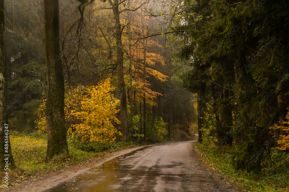 Autumn view of a road near Letohrad, Czech Republic Autumn view of a road near Letohrad, Czech Republic