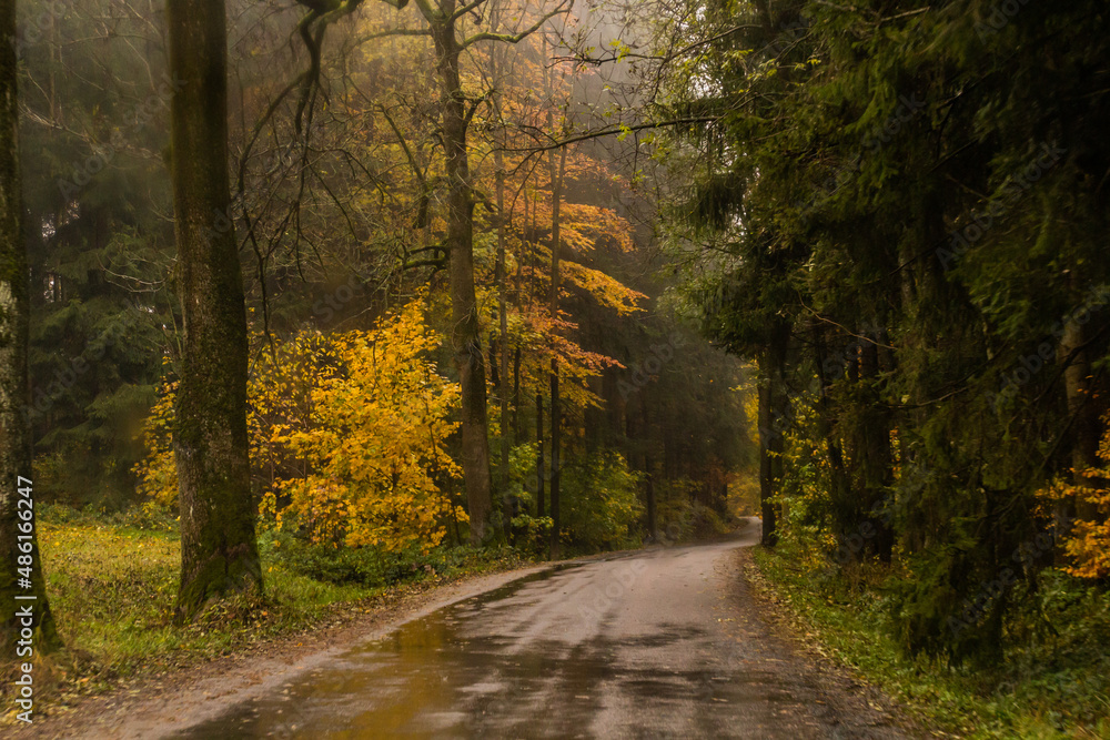 Autumn view of a road near Letohrad, Czech Republic