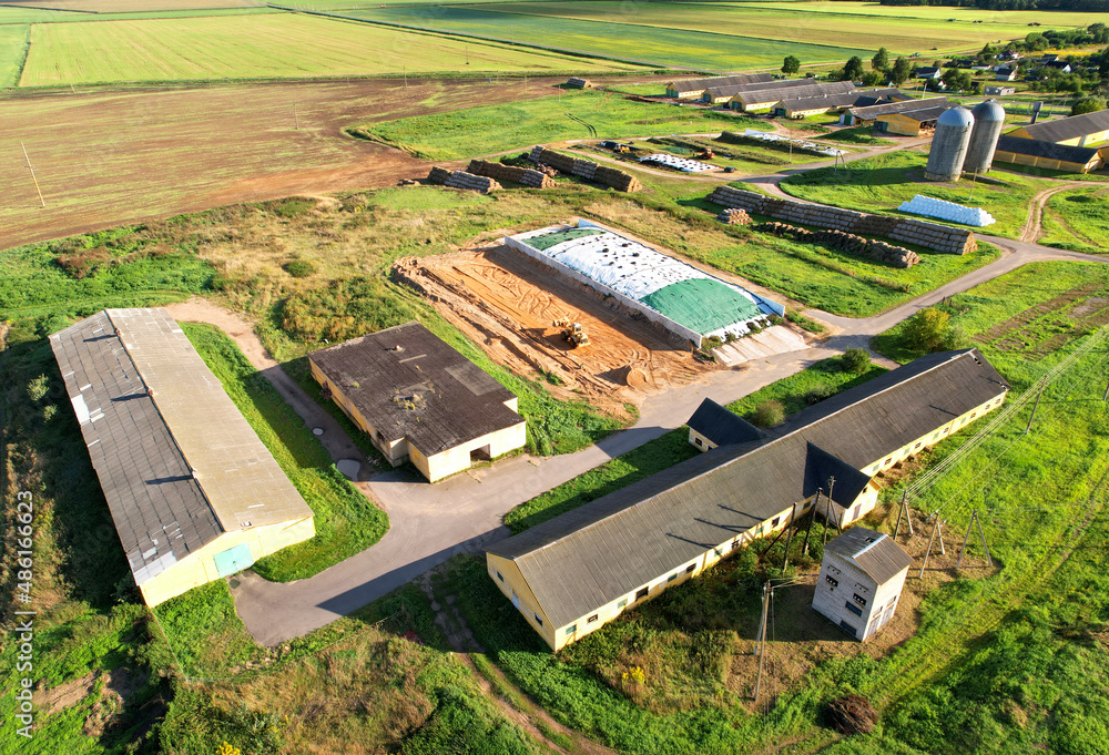 Farmland with Barn at farm, aerial view. Cows and pigs in village. Silo ...