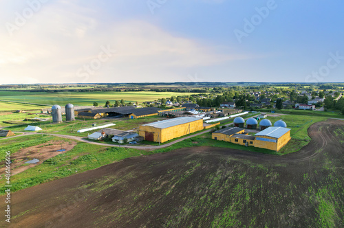 Farmland with Barn at farm, aerial view. Cows and pigs in village. Silo storage at farm. Elevator for storage siliage and grain. Feed Silos Hopper. Farm building with animals on plantation.