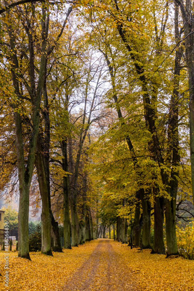 Autumn view of a path in Potstejn village, Czech Republic