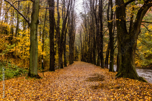 Autumn view of a path in Potstejn village, Czech Republic