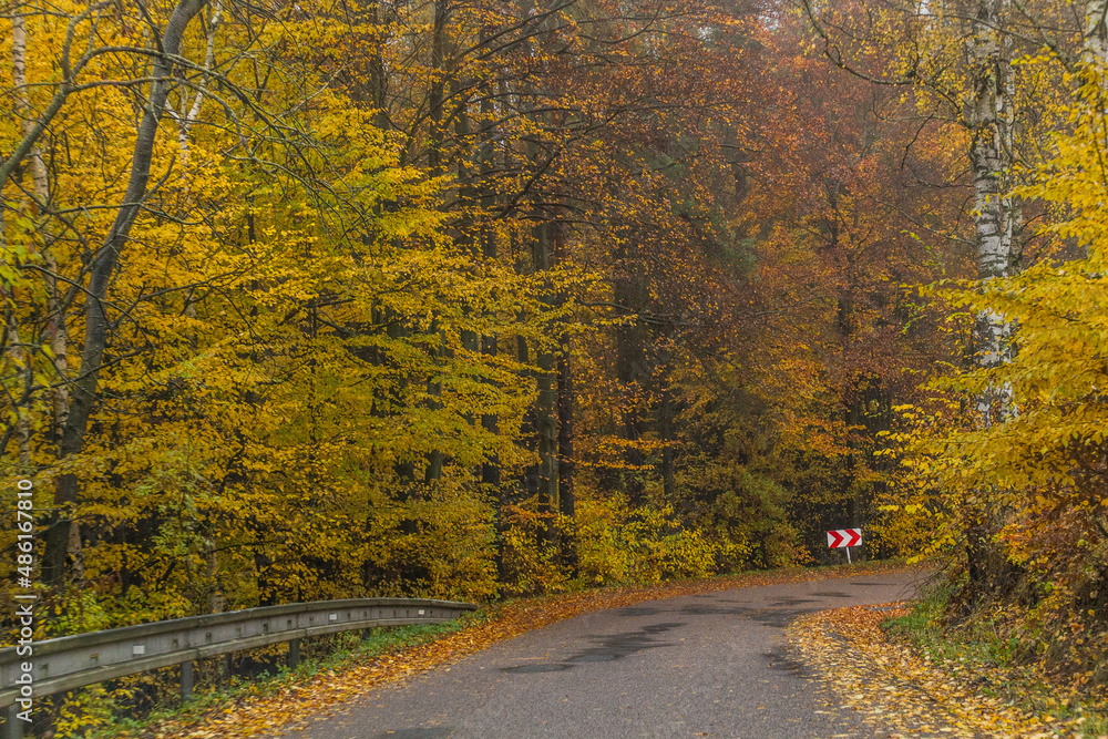 Autumn view of a road in the Czech Republic Autumn view of a road in the Czech Republic