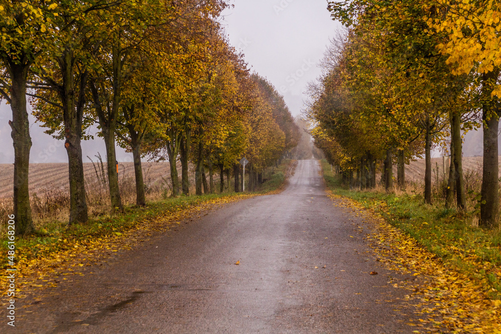 Autumn view of a country road in the Czech Republic Autumn view of a country road in the Czech Republic