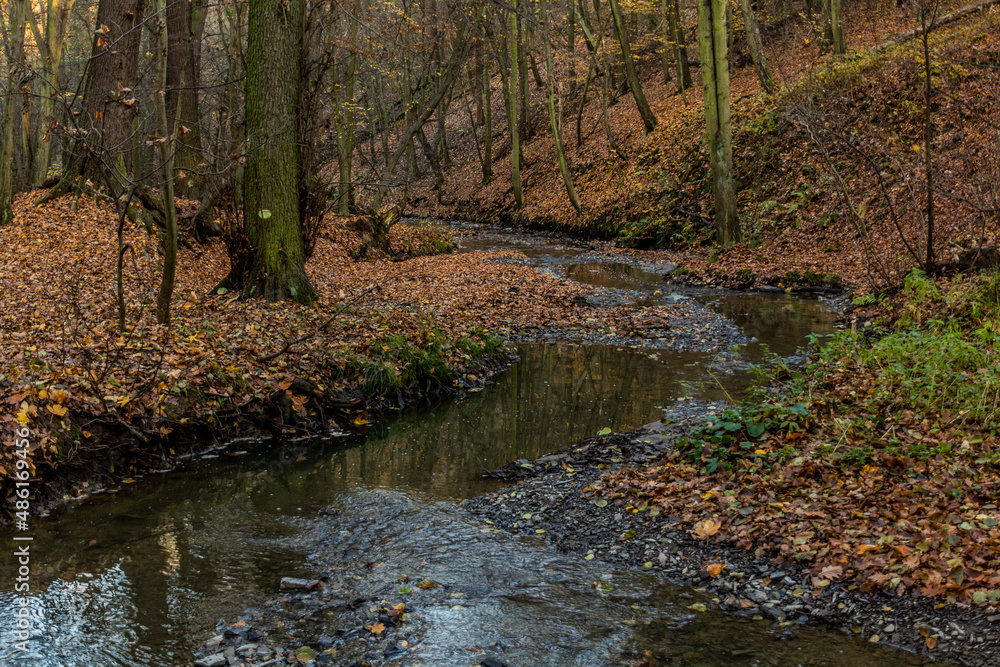 Autumn view of Kunraticky potok stream in Prague, Czech Republic Autumn view of Kunraticky potok stream in Prague, Czech Republic