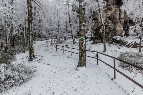 Winter view of a landscape of Tiske steny rocks, Czech Republic photo