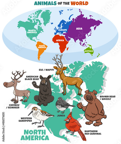 educational illustration with cartoon North American animals