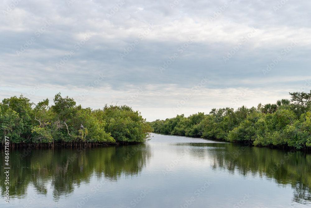 Florida Everglades mangroves Canals through Blackwater River in South Florida Canoe Kayak area