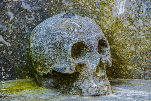 Marble Skull photo