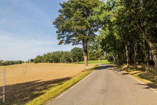 Konstfotografi Rural road near Tabor, Czech Republic