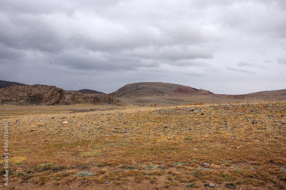 The slope of a high hill with dried grass under thunderclouds in early autumn.