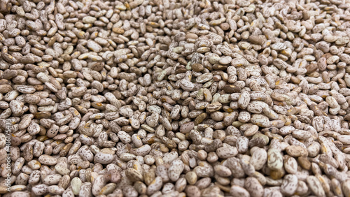 Pile of Pinto Bean .