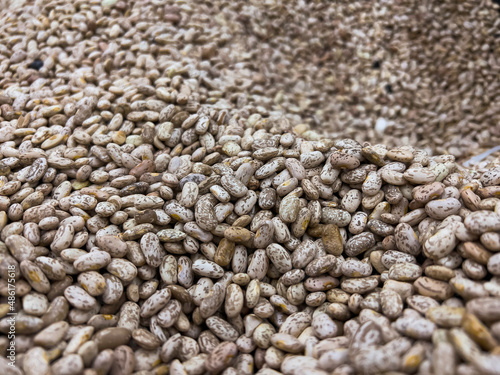 Pile of Pinto Bean .