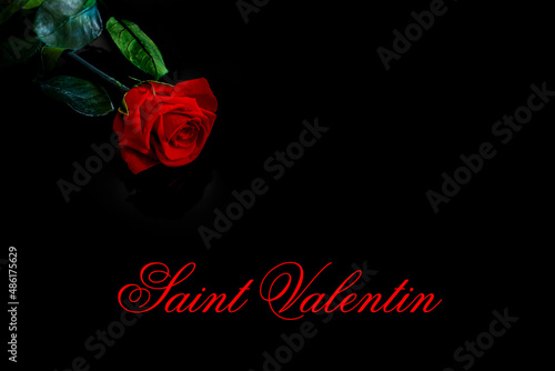 Rose rouge sur fond noir avec texte "Saint Valentin' en français.