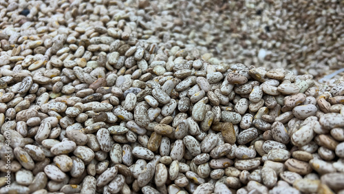 Pile of Pinto Bean .