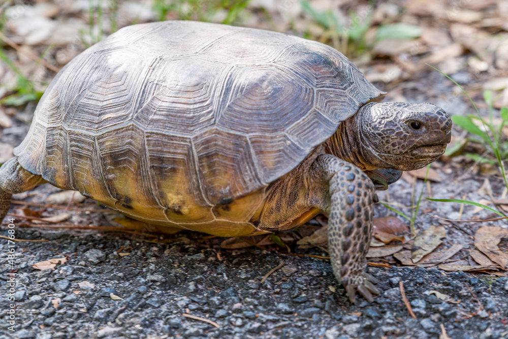 Fototapeta premium creative