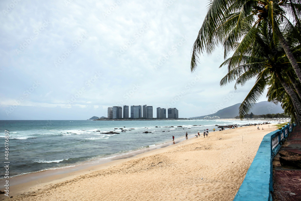 Obraz premium beach with palm trees