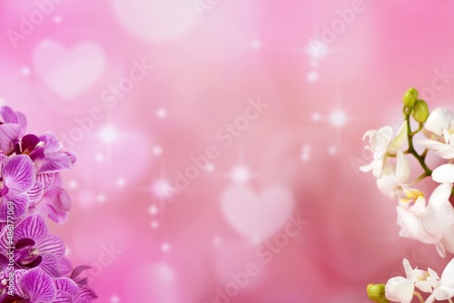 Valentine concept with orchid flower and hearts