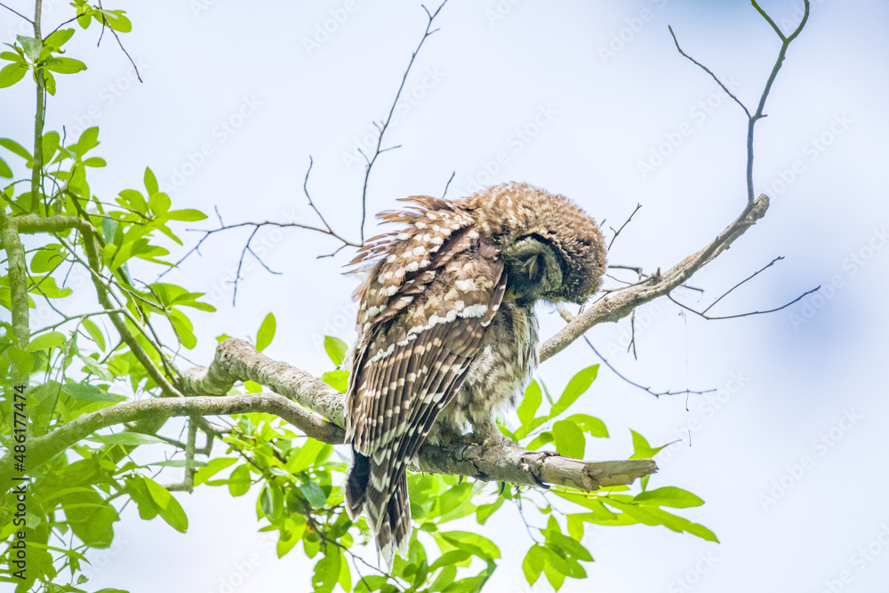 Obraz premium creative