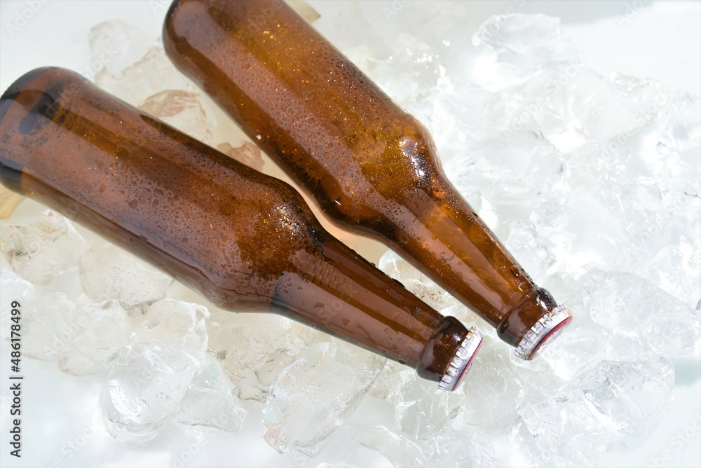 beer bottles lay on ice 