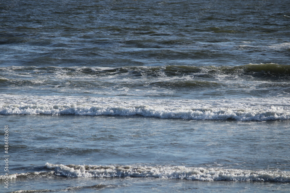 Fototapeta premium atardecer