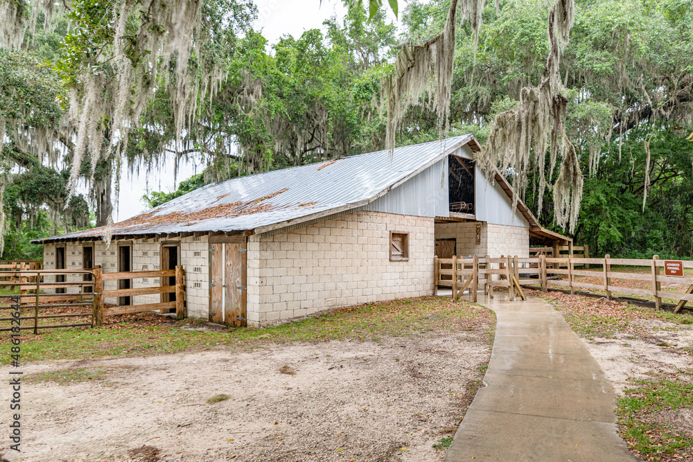 Obraz premium creative