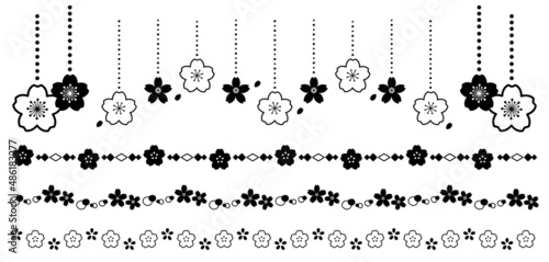 桜の花の罫線　装飾ライン　シルエット