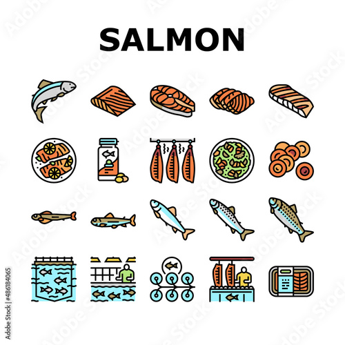 Salmon Fish Delicious Seafood Icons Set Vector. Sashimi And Salmon Fillet Steak, Fresh And Cooked Dish Sea Food, Caviar And Oil Line. Plant Processing And Farming Color Illustrations photo