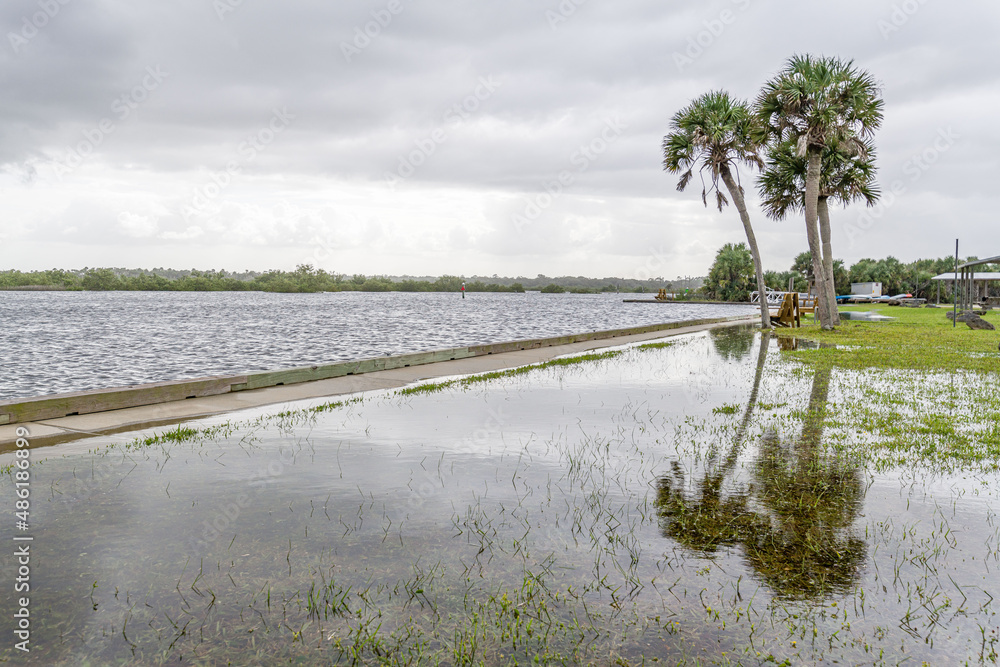 Obraz premium creative