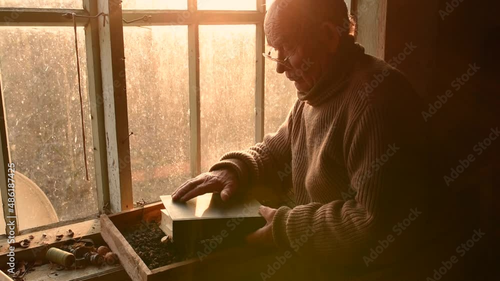 elderly man in glasses holding brushing dust off cover old book house window. old antique vintage interior covered dust cobwebs. Lonely retired pensioner veteran abandoned dwelling. elderly man in glasses holding brushing dust off cover old book house window. old antique vintage interior covered dust cobwebs. Lonely retired pensioner veteran abandoned dwelling.