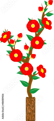 木製の花瓶と椿の花のイラスト