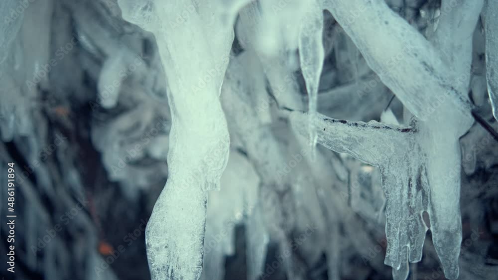 Beatuful, huge icicles on the tree Beatuful, huge icicles on the tree
