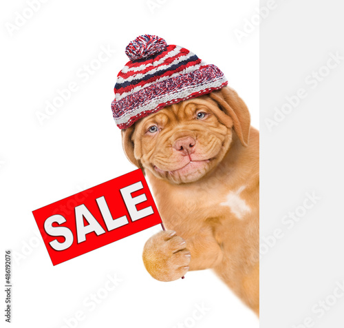 Happy puppy wearing a warm hat holds sales symbol behind empty banner. isolated on white background
