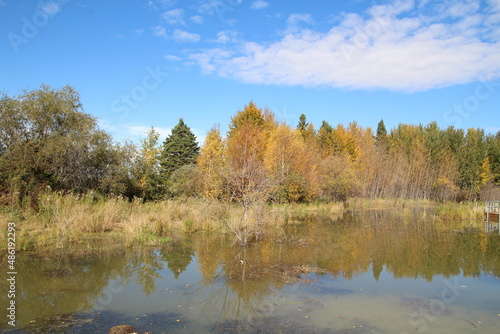 autumn trees reflected in water, Elk Island National Park, Alberta