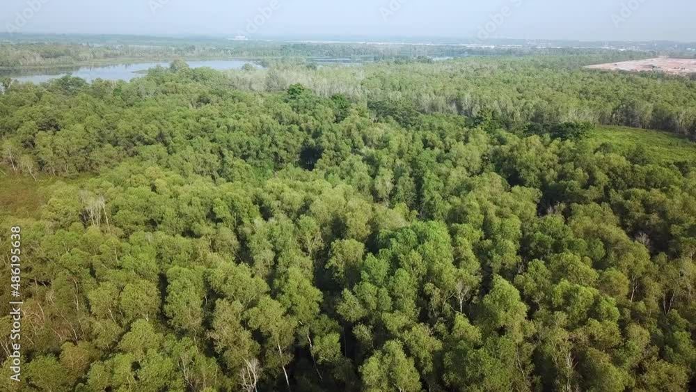 Aerial point of view natural wetland Aerial point of view natural wetland