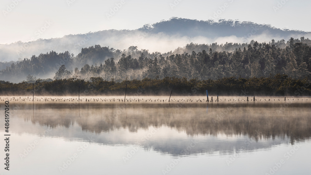 Fototapeta premium fog and mist on mountain reflection in calm water
