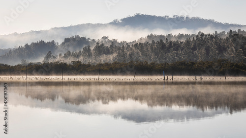 Fototapeta Naklejka Na Ścianę i Meble -  fog and mist on mountain reflection in calm water