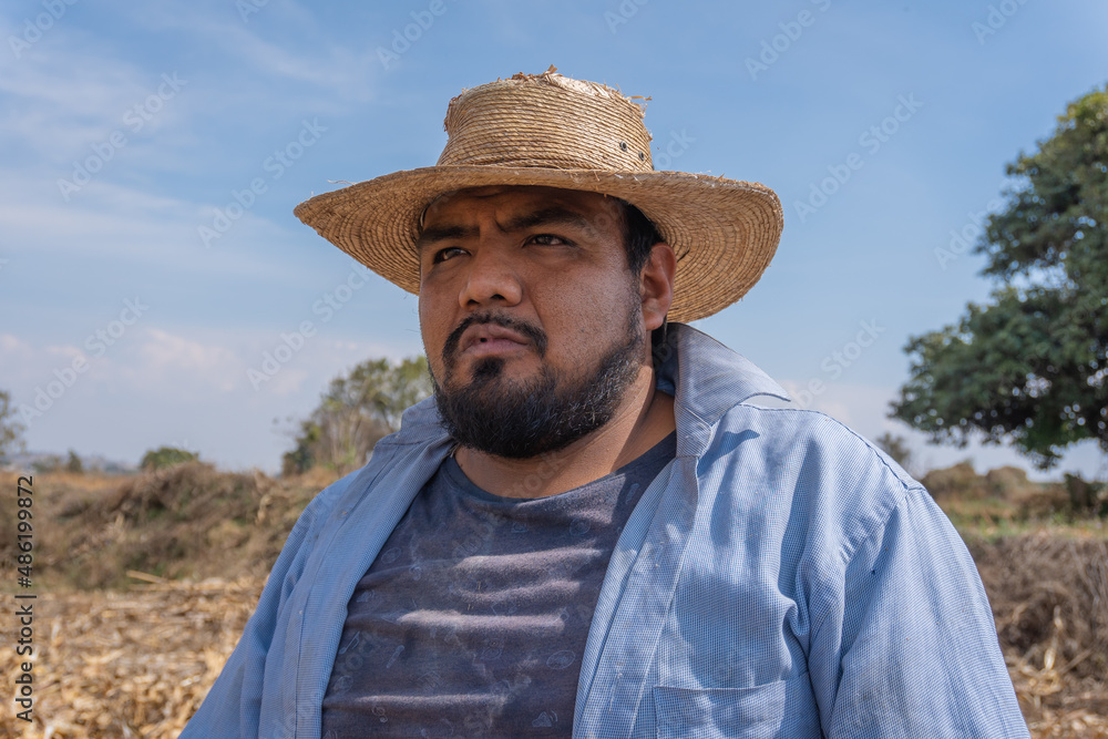 portrait of a Mexican farmer collecting corn