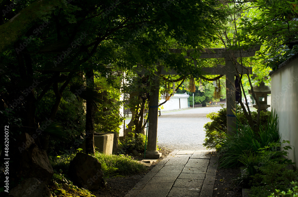 Dark shrine toori gate in Kyoto during evening Dark shrine toori gate in Kyoto during evening